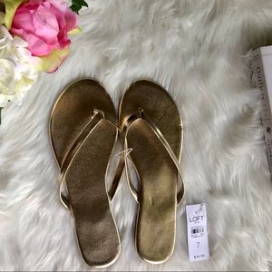 HP! 🎉[loft] gold flip flop sandals